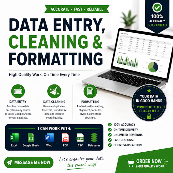do accurate excel data entry and formatting