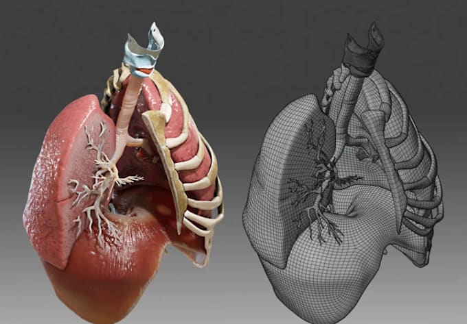 create 3d medical animation, surgical animation, anatomy