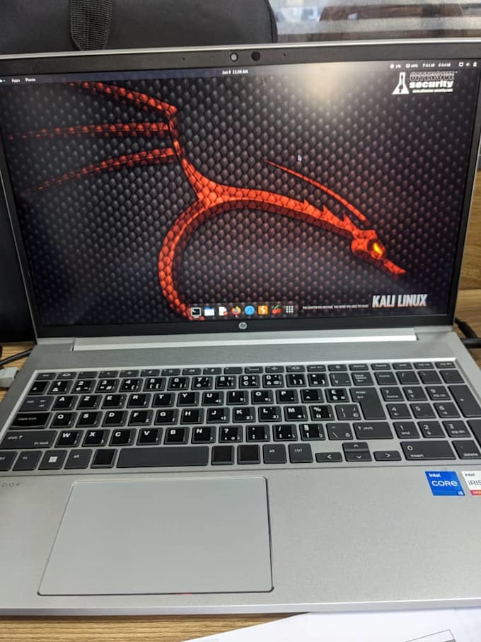 perform vulnerability assessment, penetration testing, and security fixes