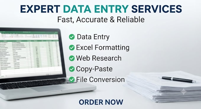 do professional data entry, ms excel and word formatting