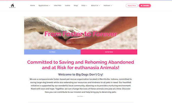 fix or improve your wordpress website