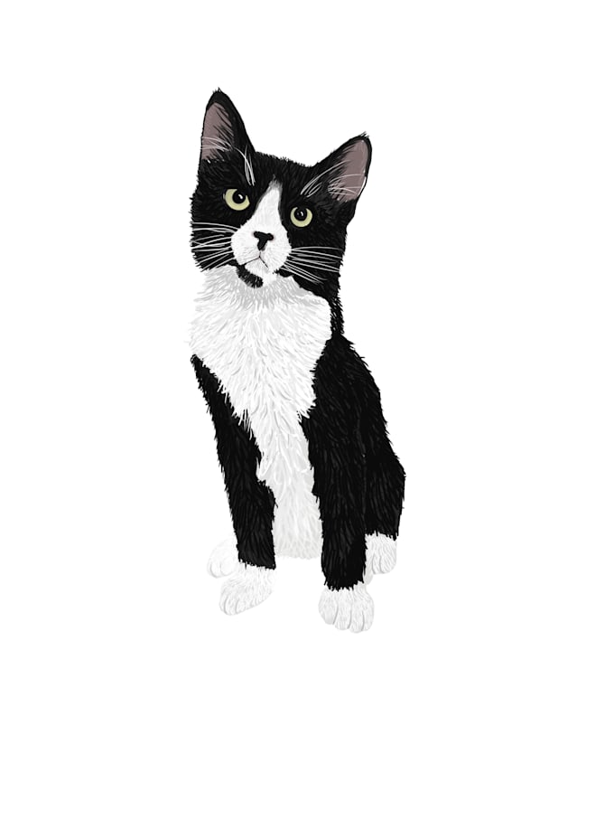 create digital pet portraits