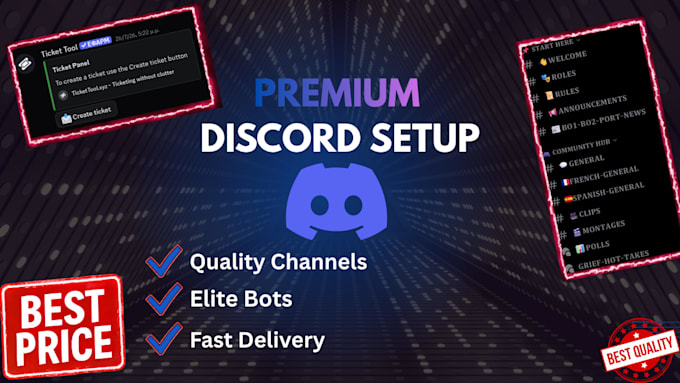 design and set up a professional discord server