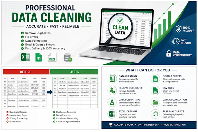 professional data entry, excel, and PDF conversion