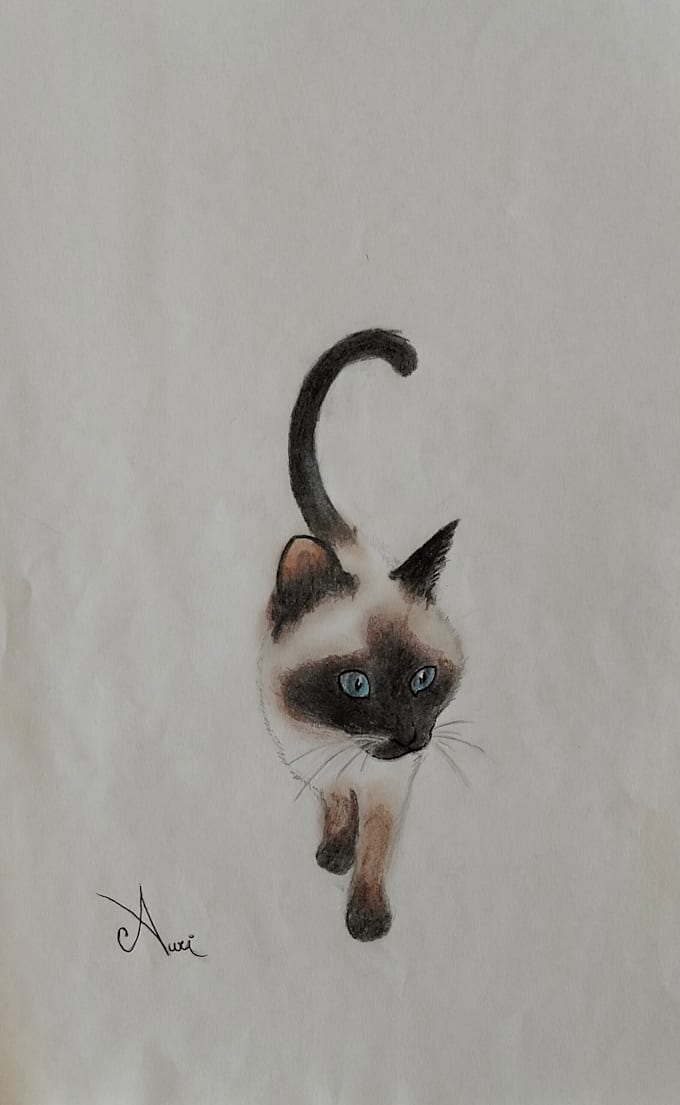draw your pet animal