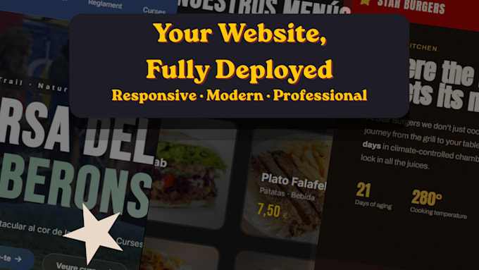 develop and launch your fully professional website