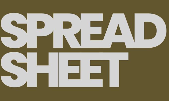 custom excel and google sheets expert for business and personal projects