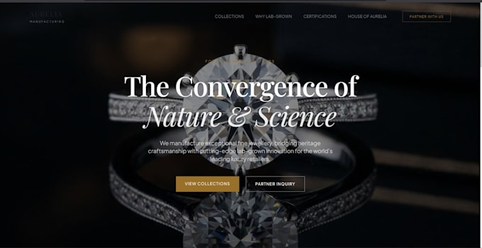 build a full stack dynamic website