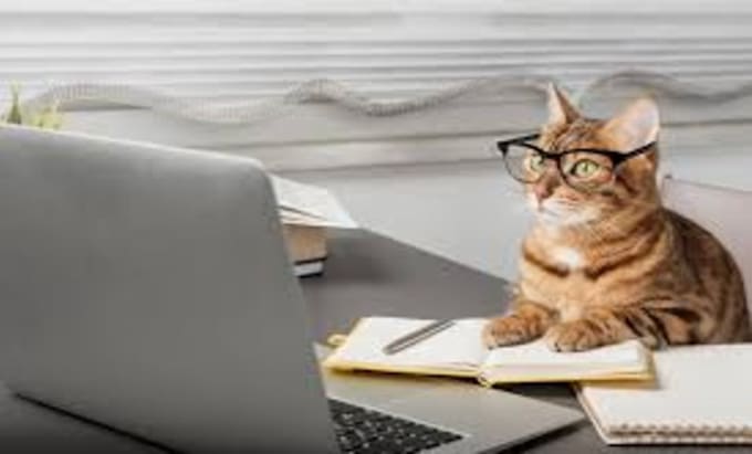write, proofread, edit, fact correct spelling and grammar