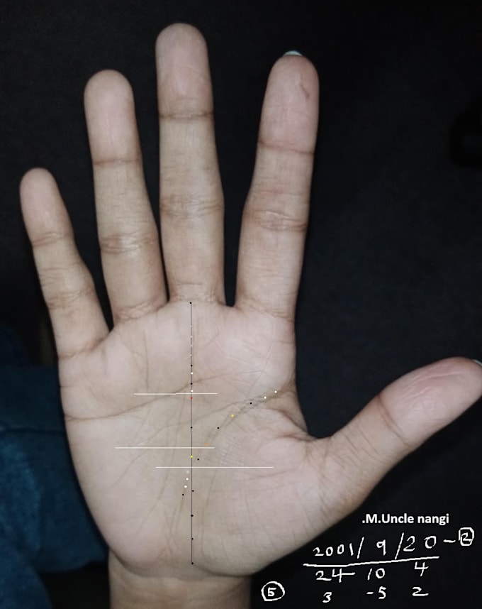 palmistry and numerology futter predicter
