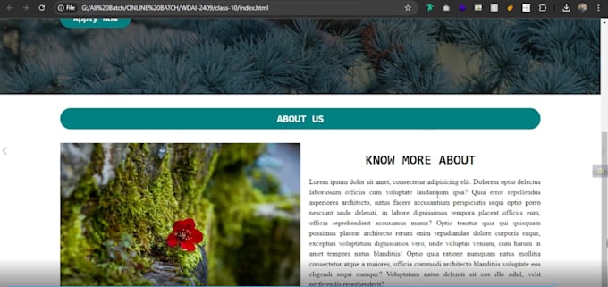 do professional web design and redesign website