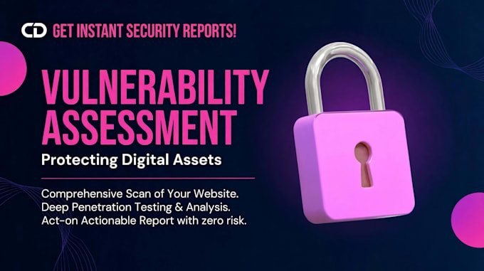 perform website vulnerability assessment and penetration testing
