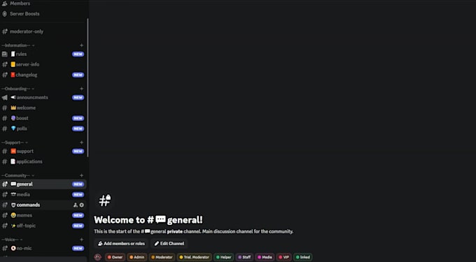 set up and organize your discord server