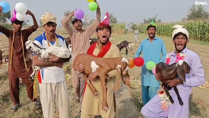 wish african dance happy birthday video and african happy birthday