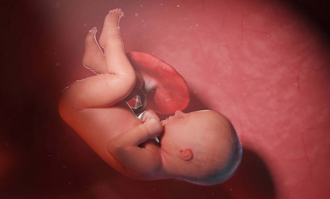 create best 3d medical explainer animation video for 3d sepsis retained placenta