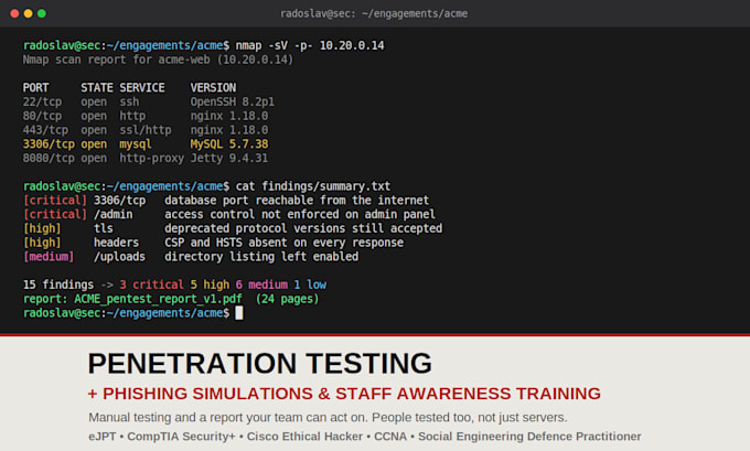 do a professional penetration test and security assesment