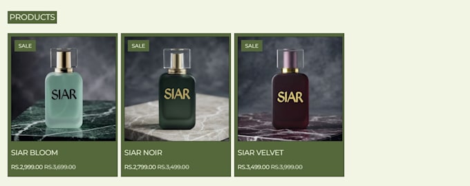 design a professional shopify website