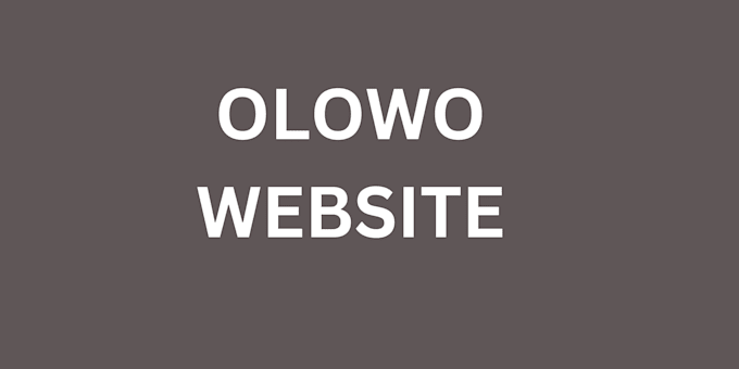 design olowo website that functions