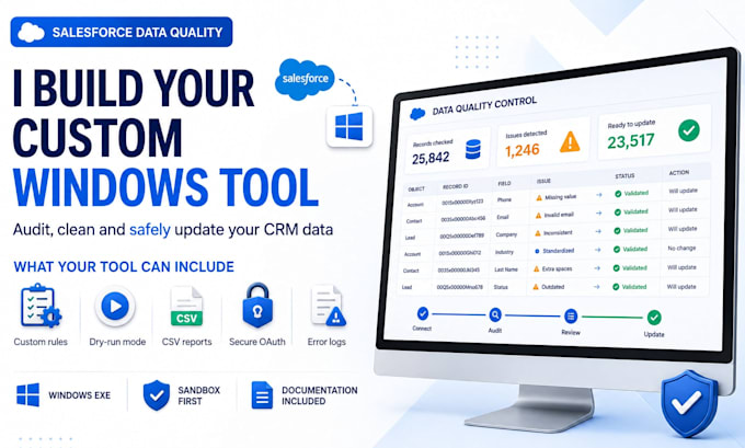 build a custom windows tool to improve salesforce data quality