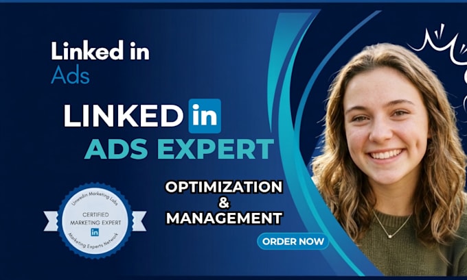 design setup manage,and optimize highly targeted linkedln ads