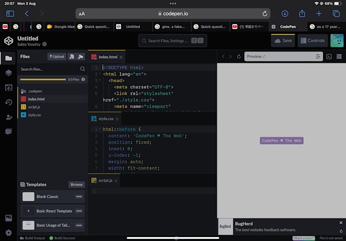 code custom websites and responsive frontend layouts