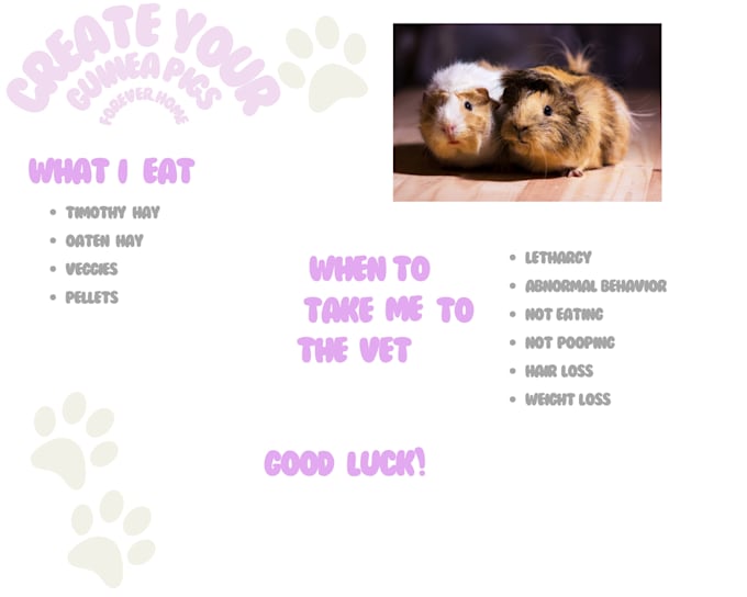 create pet care manuals