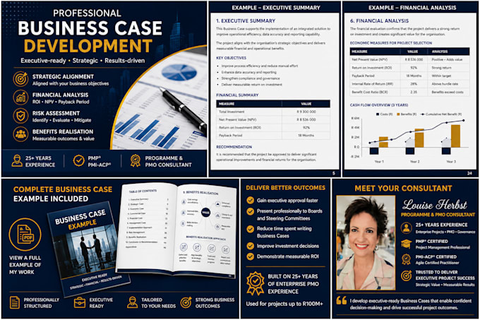 create your executive ready business case