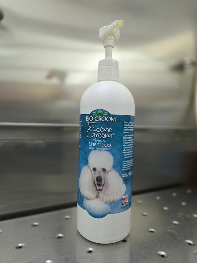 create engaging ugc content for pets, beauty, and lifestyle