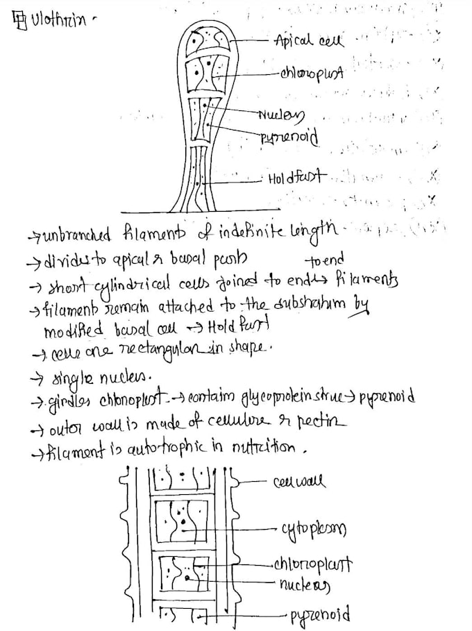 write your notes in clear and neat handwriting