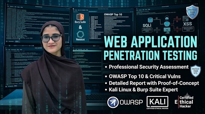 perform web application penetration testing