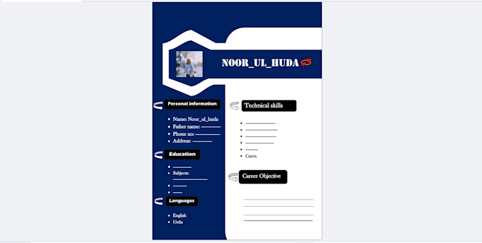 professional and modern CV or resume layouts