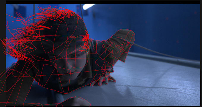 do professional hair rotoscoping for vfx