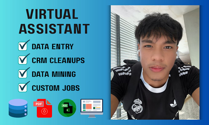 be your virtual assistant for data entry, CRM data cleanup, excel work