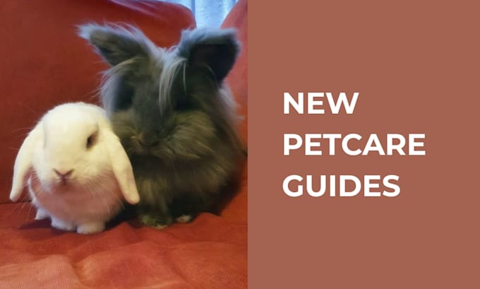 design a custom new pet care and behaviour guide