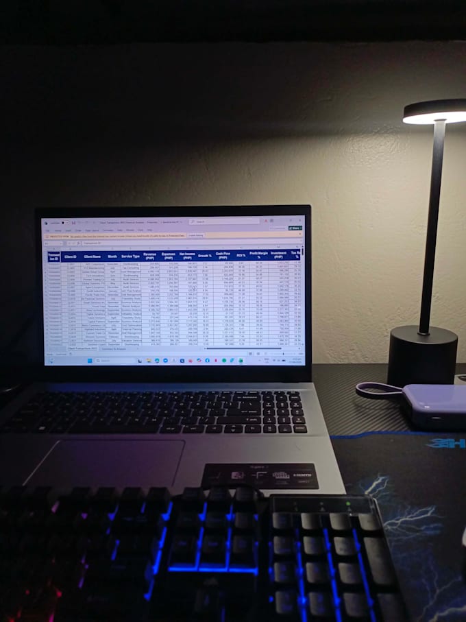 financial data entry, analysis and excel reports for startups