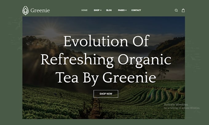 design branded coffee shopify store
