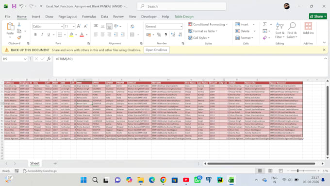 do professional data entry