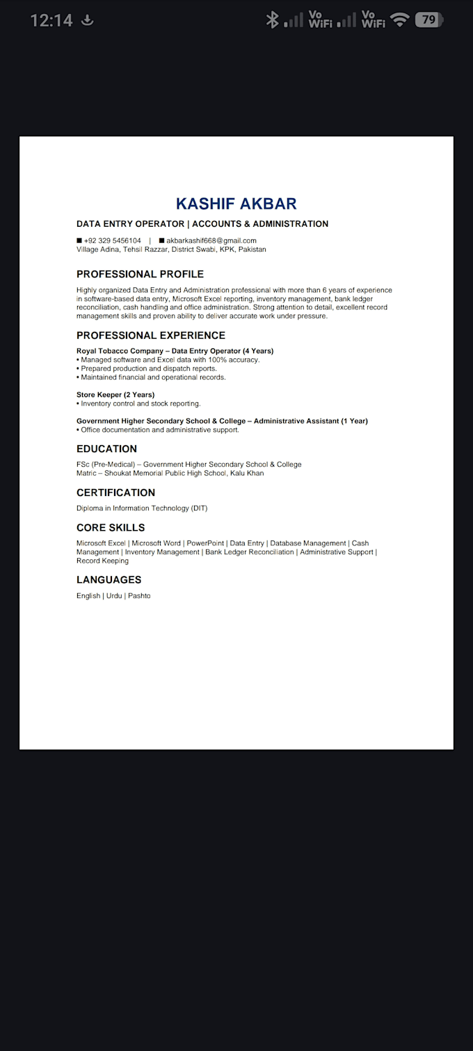 create a professional ats friendly resume