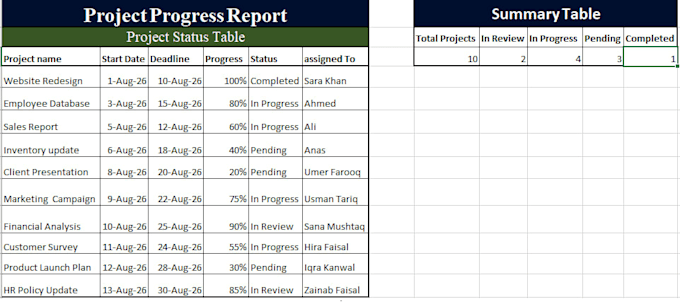 create a professional ms word and excel project management dashboard