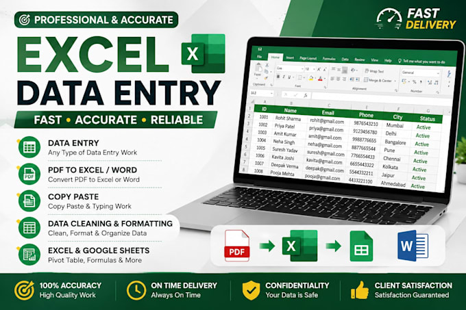 microsoft excel data entry ,copy paste ,pdf to excel