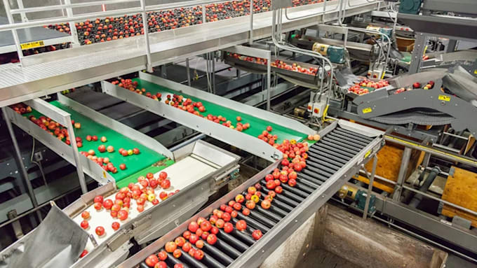 design 3d food processing factory, warehouse and production plant design