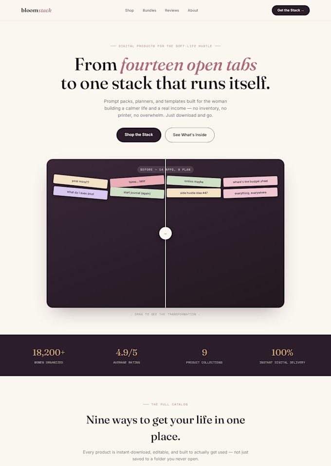 build custom websites, fast developer