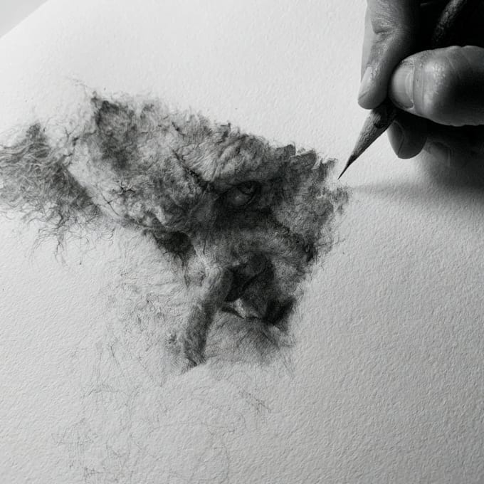 draw horror and dark fantasy illustrations