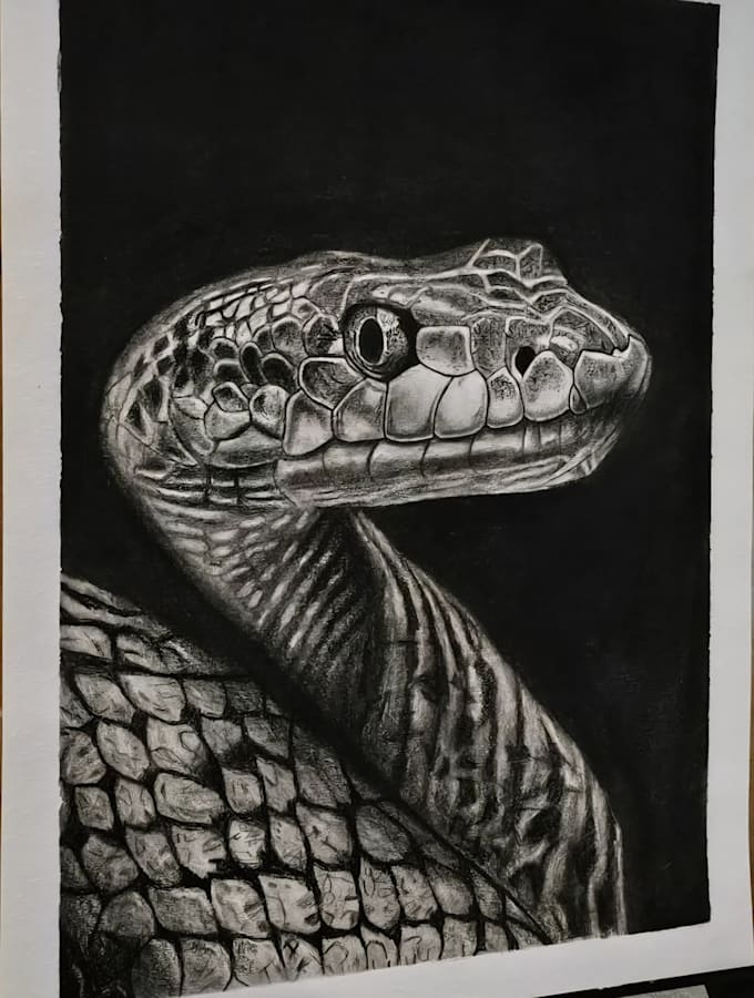 draw a hyper realistic graphite and charcoal portrait from your photo