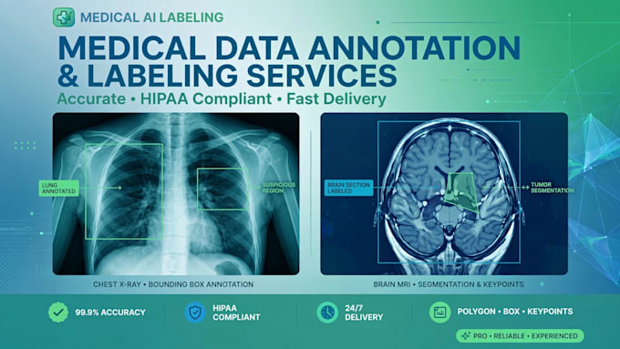 do medical image annotation, labeling and segmentation