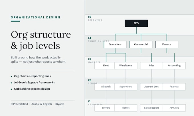 build your organizational structure and org chart