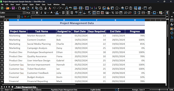 do excel data cleaning and excel data formatting