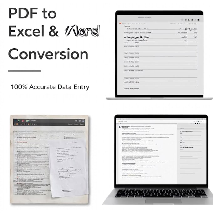 do PDF to excel and word data entry accurately