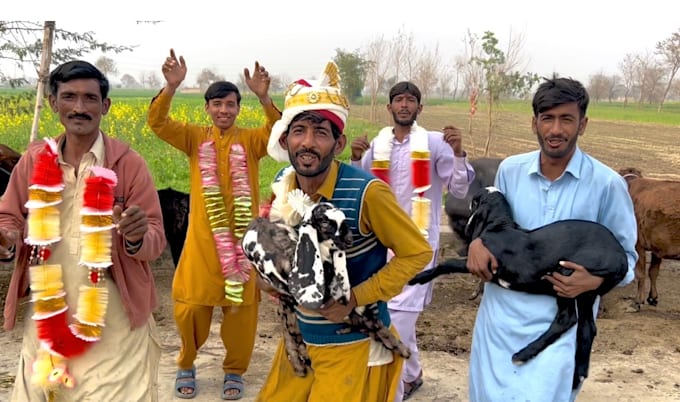 wish happy birthday video