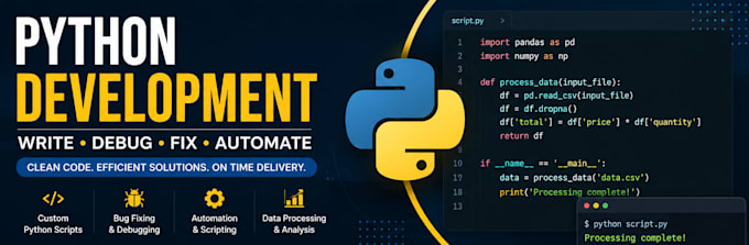 help with python programming and debugging